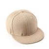 1pc Men's Hat Spring And Autumn Solid Color Plate Cap For Outdoor Sports Travel Women Sunscreen Sun Shading Sun Baseball Cap; Structured Flatfile Snap